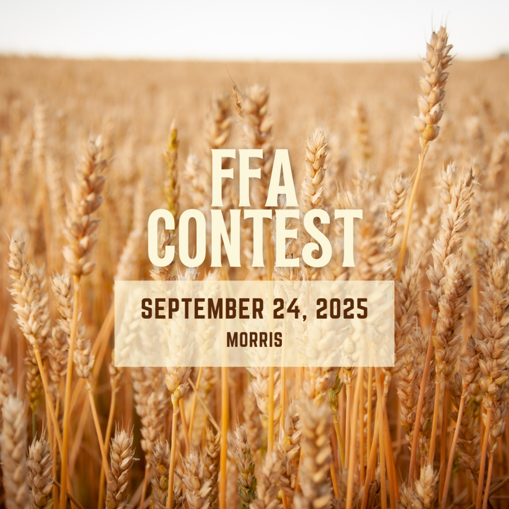 FFA Contest (Morris)
