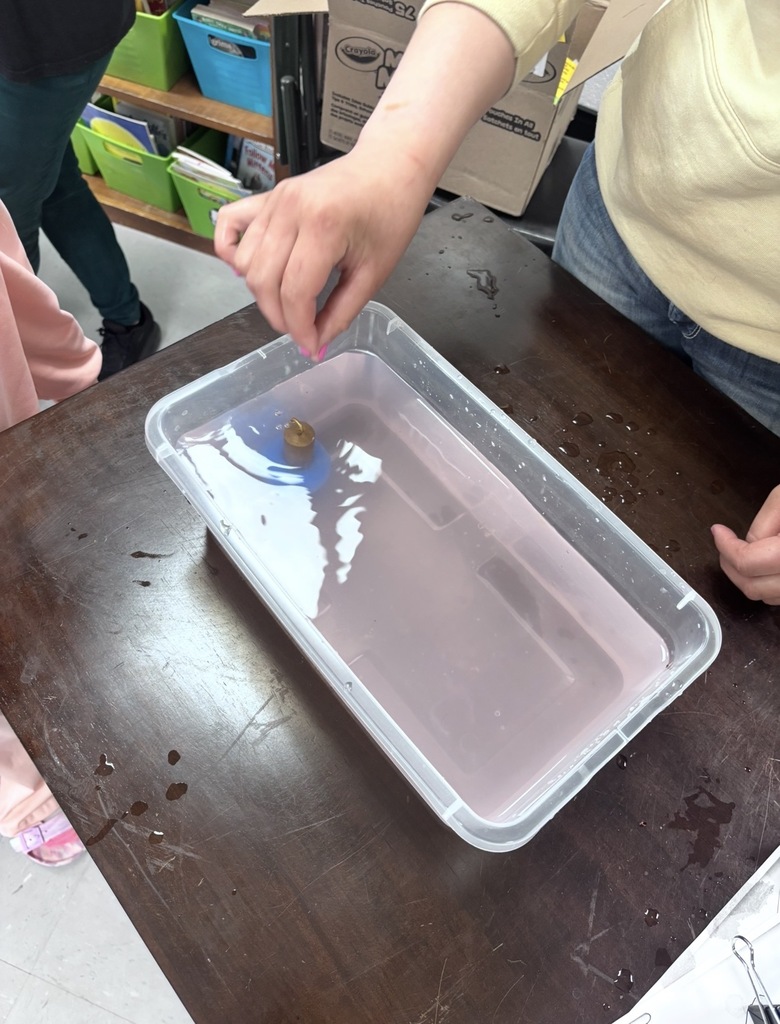 4H Experiment 