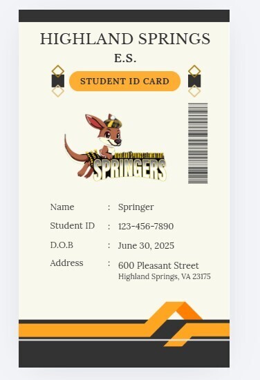 Fake HSES Student ID