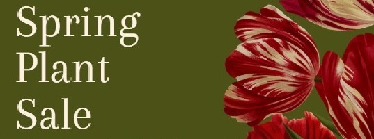 spring plant sale
