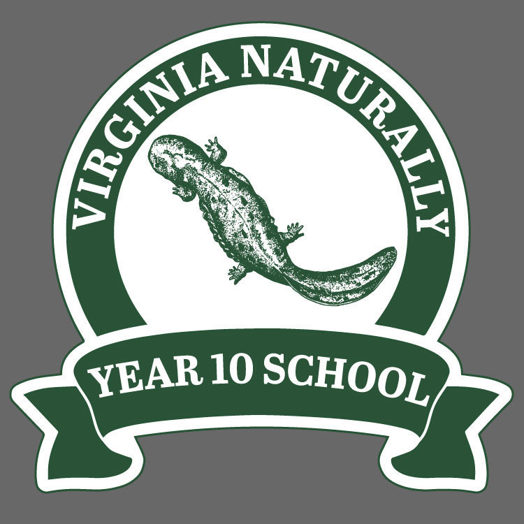 Virginia Naturally 10 Year School Badge