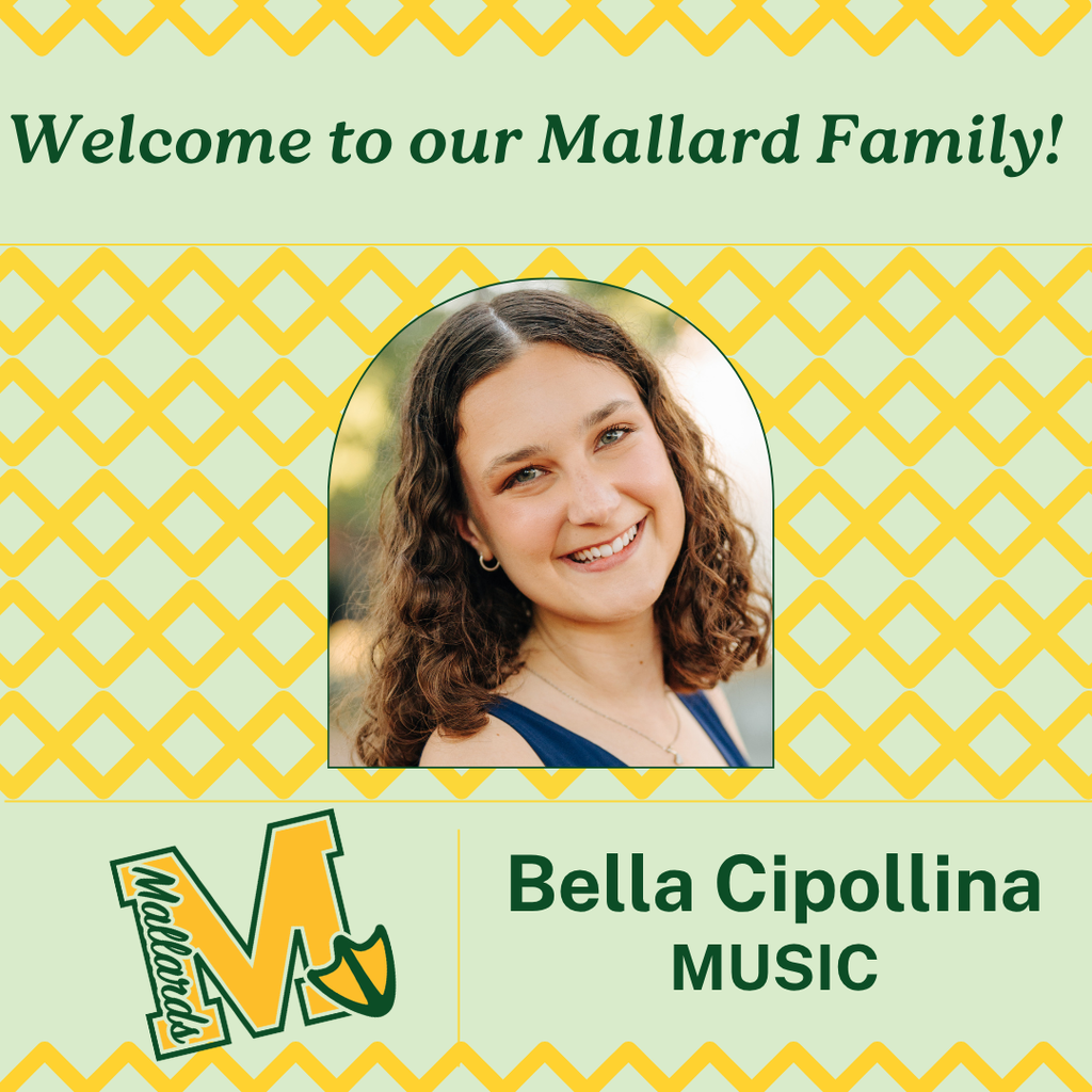Cipollina