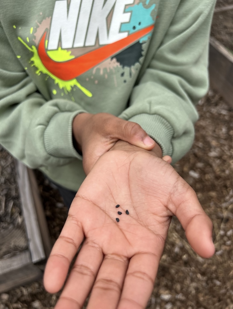 Seeds