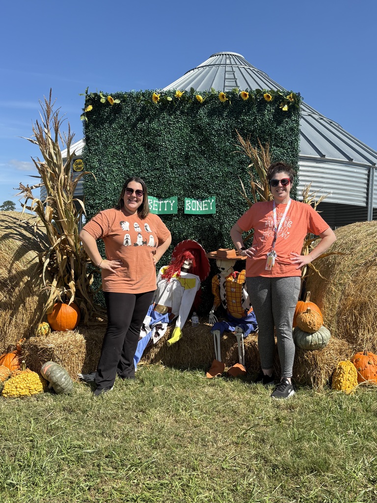 pumpkin patch