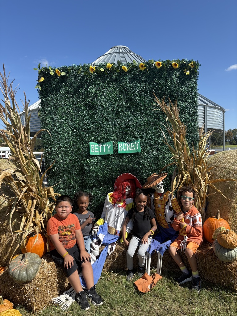 pumpkin patch