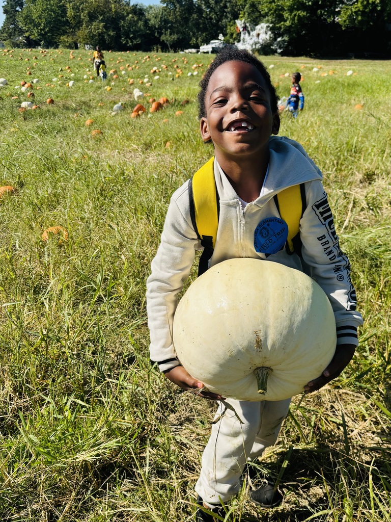 Student tries to carry a large white pumpkin.