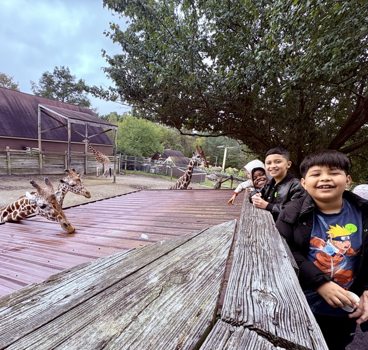 field trip to the zoo