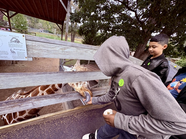 field trip to the zoo