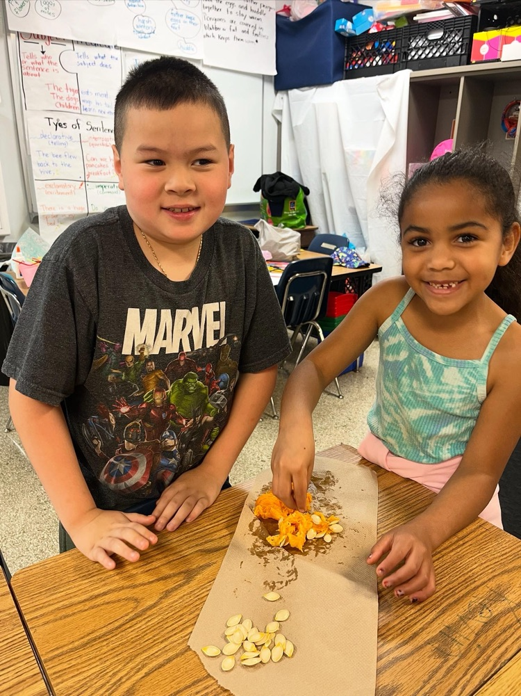 second graders sorting pumpkin seeds