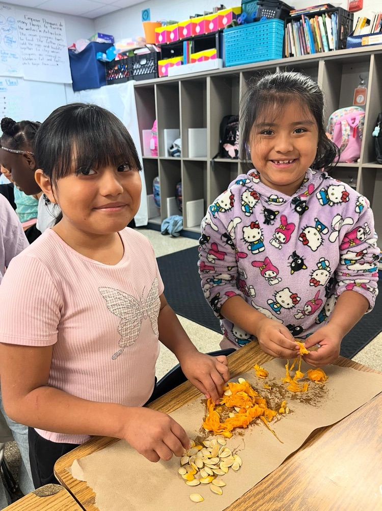 second graders sorting pumpkin seeds