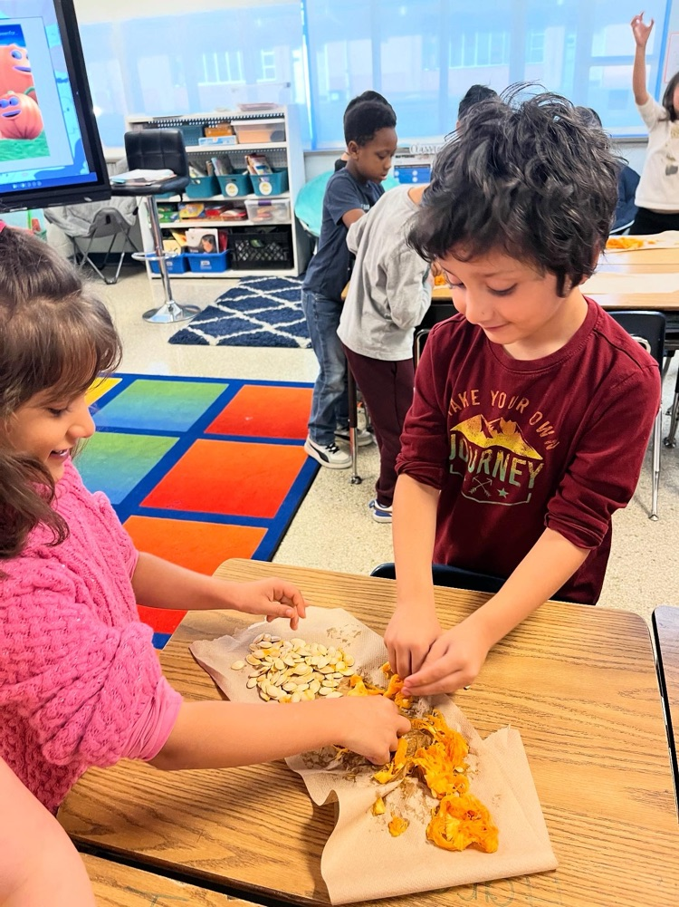 second graders sorting pumpkin seeds