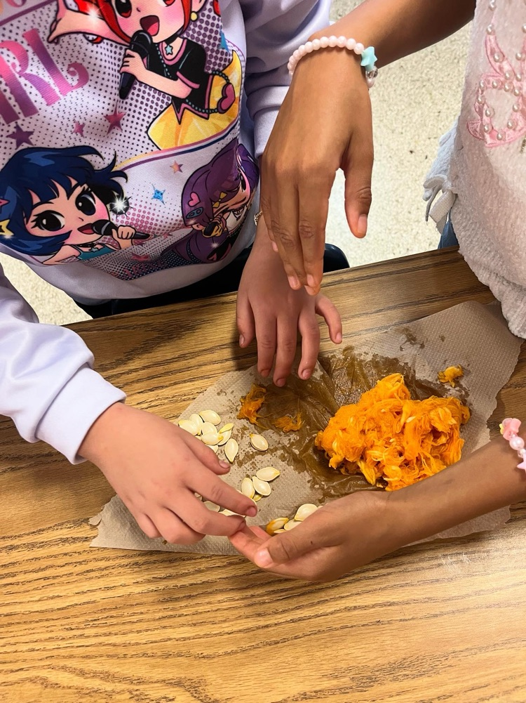 second graders sorting pumpkin seeds