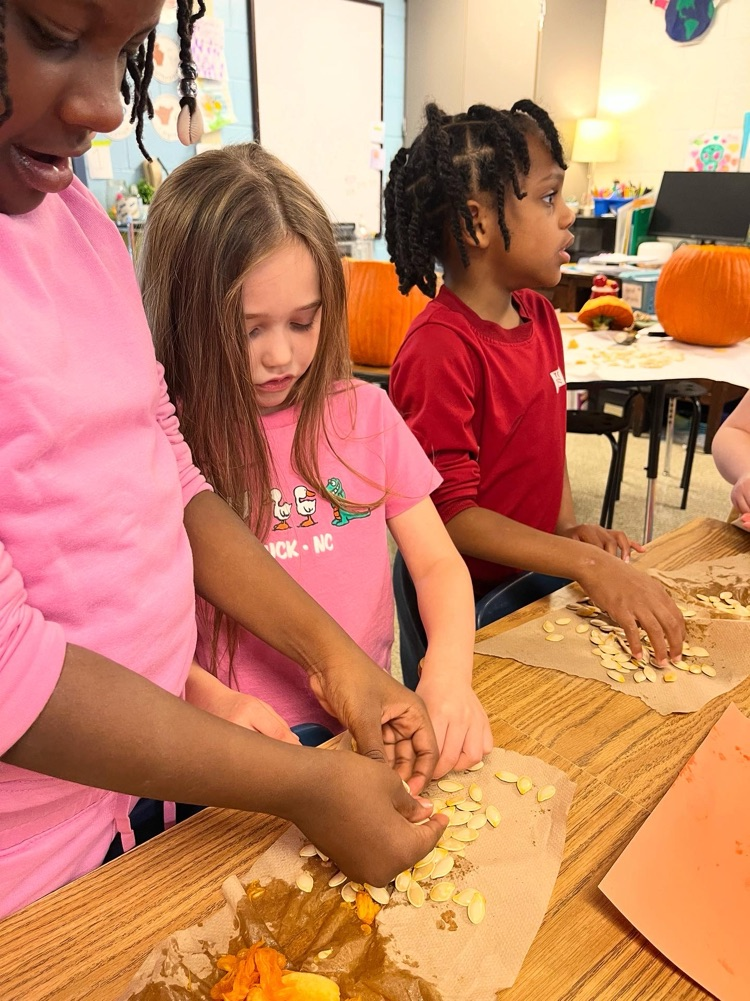 second graders sorting pumpkin seeds
