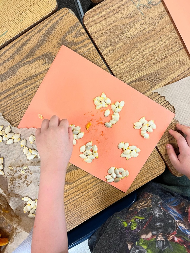 second graders sorting pumpkin seeds