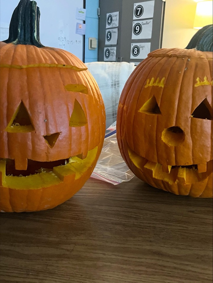 second graders sorting pumpkin seeds