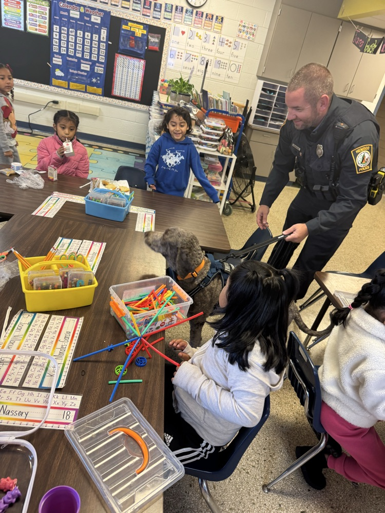 A3 - teddy came to visit!