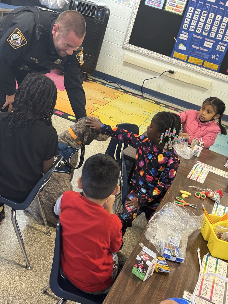 A3 - teddy came to visit!