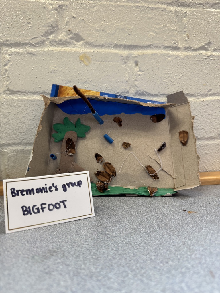 These students created the habitat of Bigfoot.