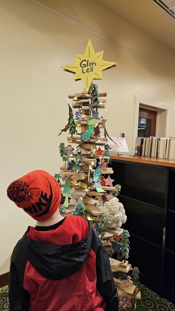 Student looks at the Glen Lea tree.