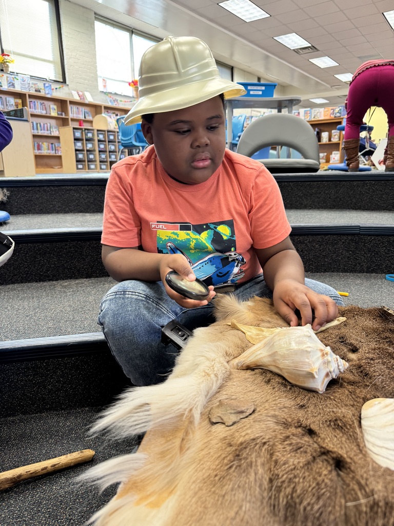 Students look at shells.