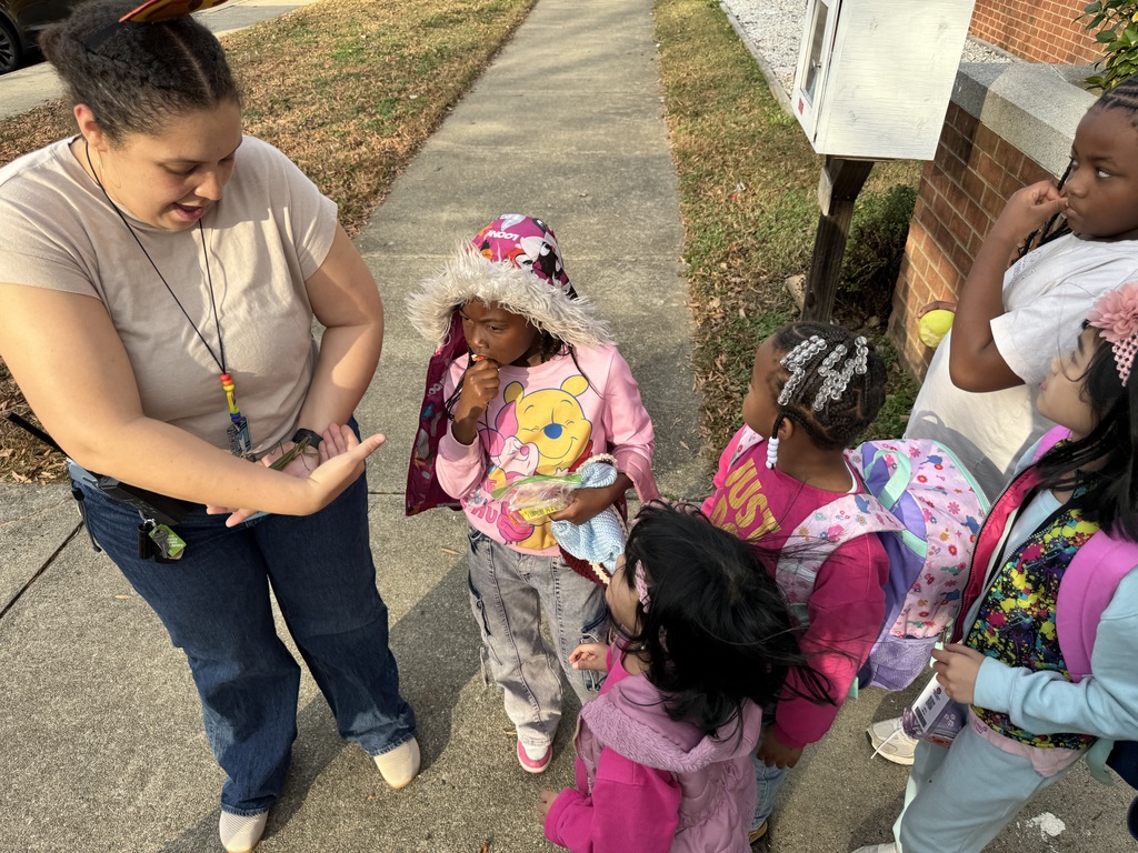 Students look at a praying mantis.