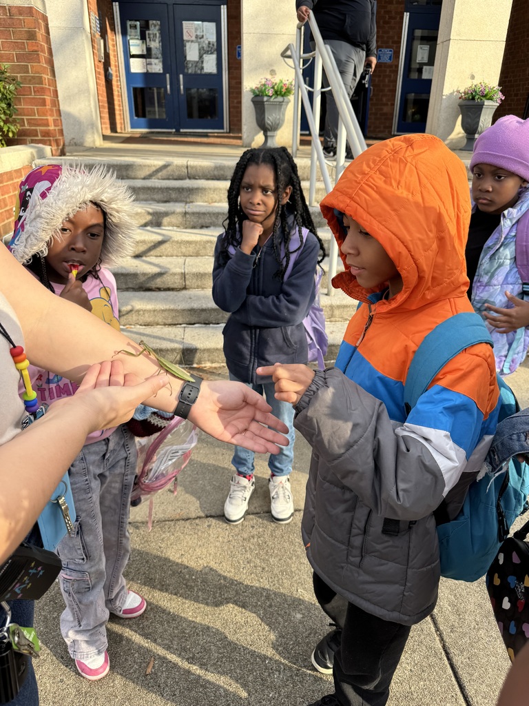 Students watch a praying mantis and ask questions.