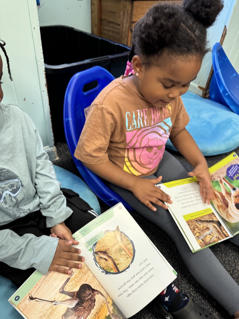 Students browse together.