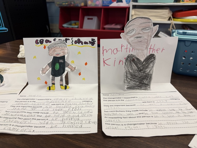 changemakers project