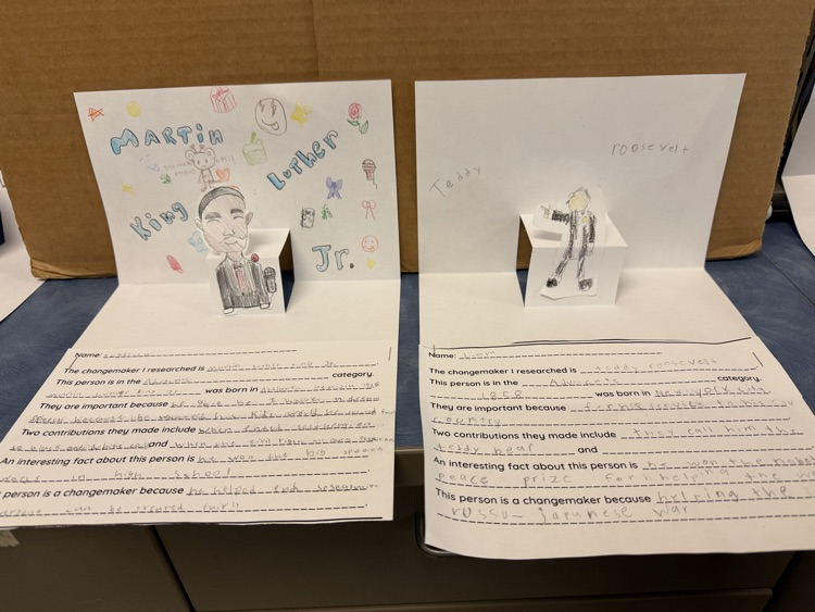 changemakers project