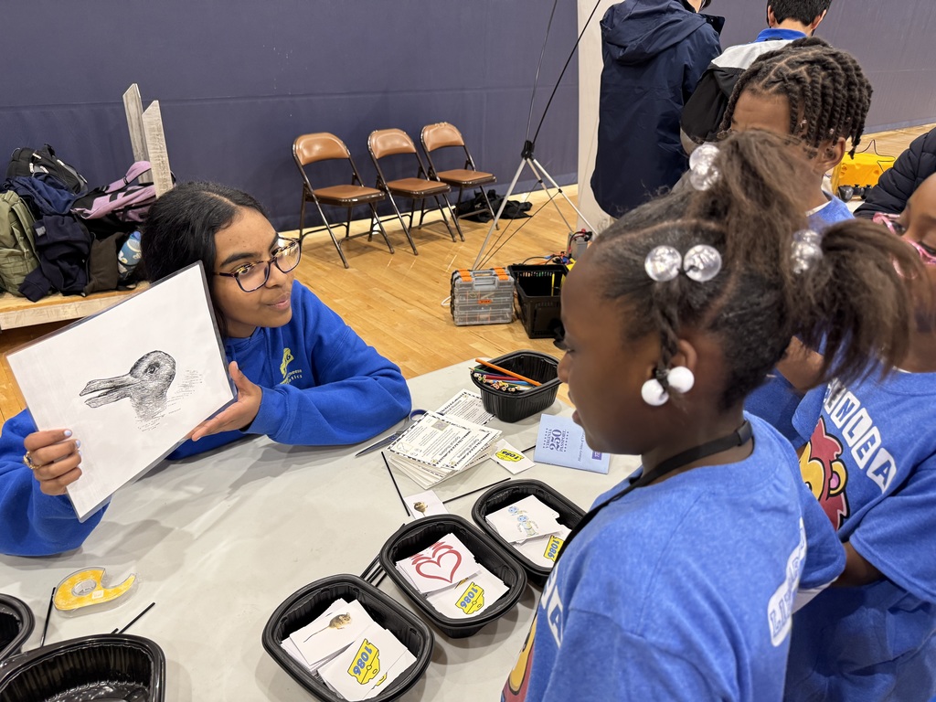 Students learn about optical illusions.