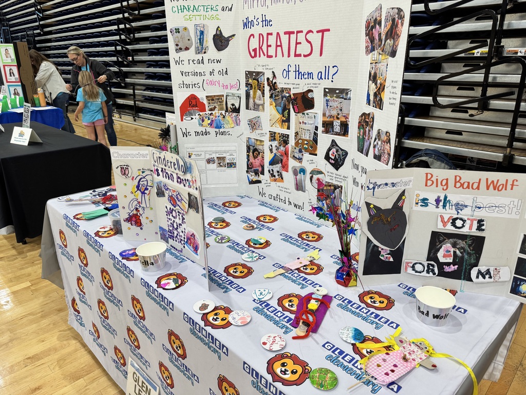 Posters showcasing the student work on their project.