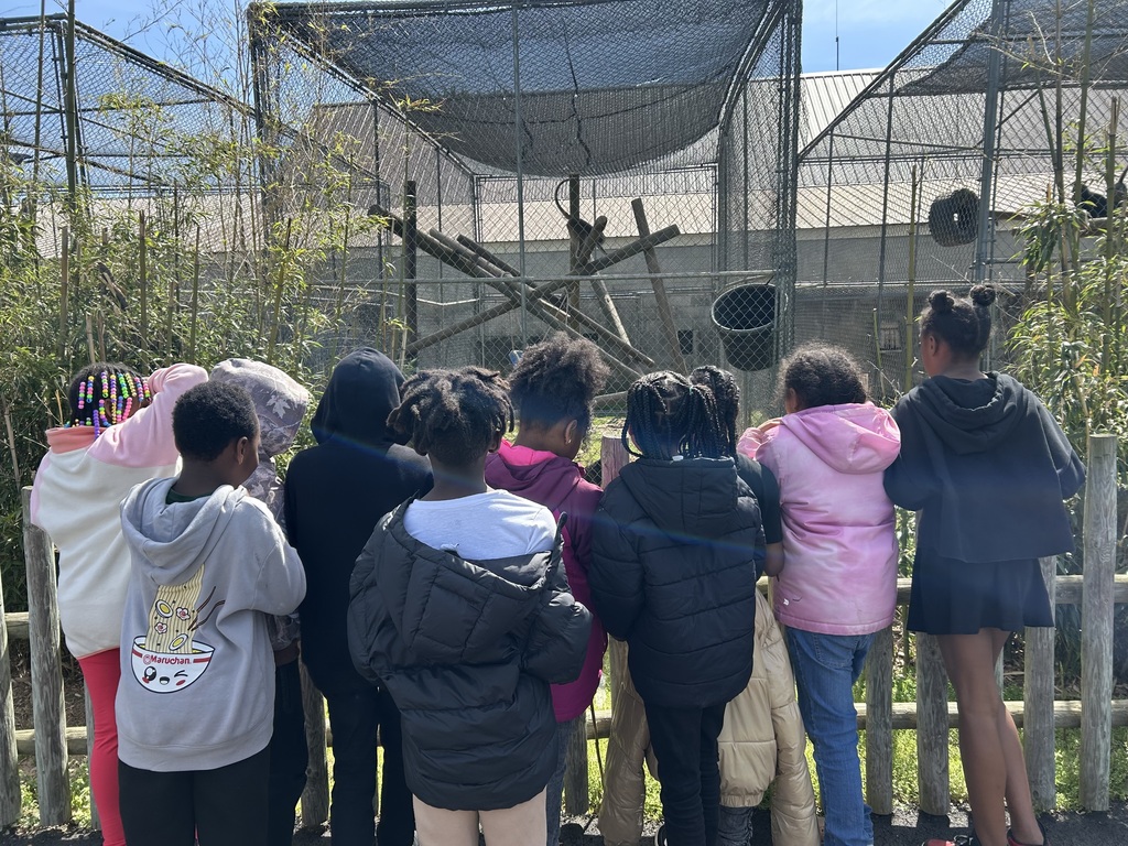 Students observe animals in their habitats.