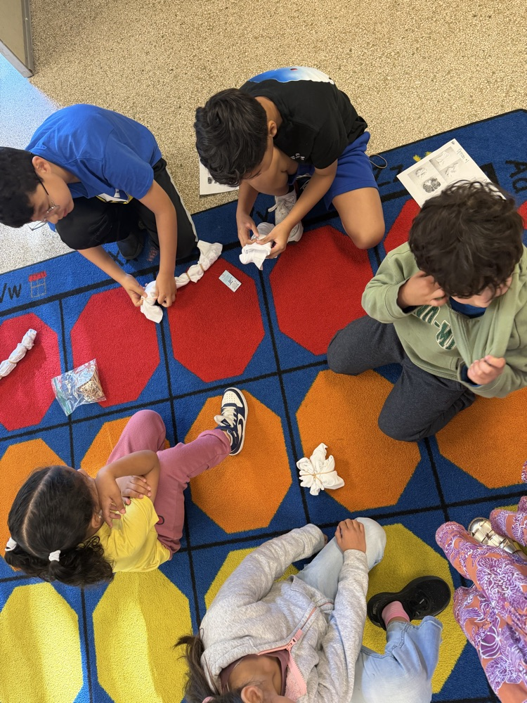 field day prep 
