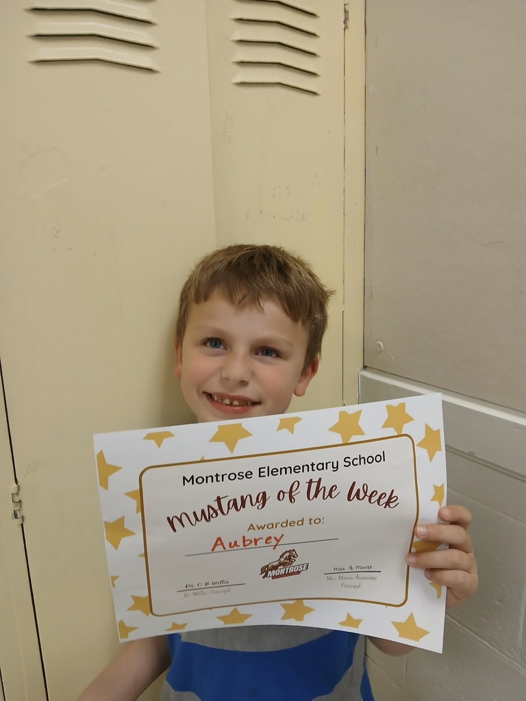 Mustang of the Week