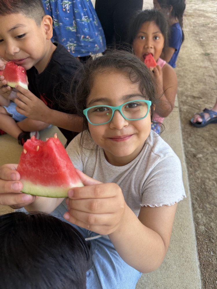 watermelon day for kindergarten 