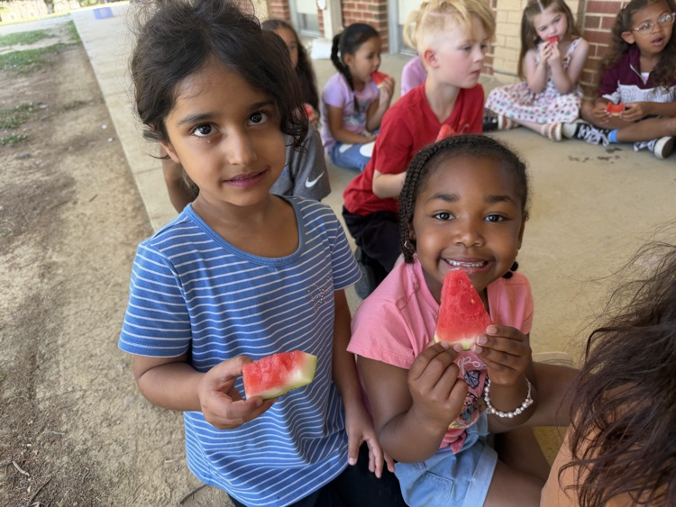 watermelon day for kindergarten 