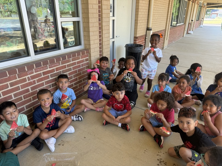 watermelon day for kindergarten 