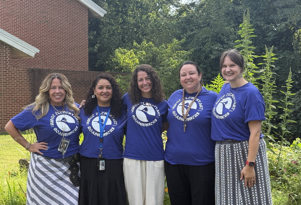 Instructional coaches