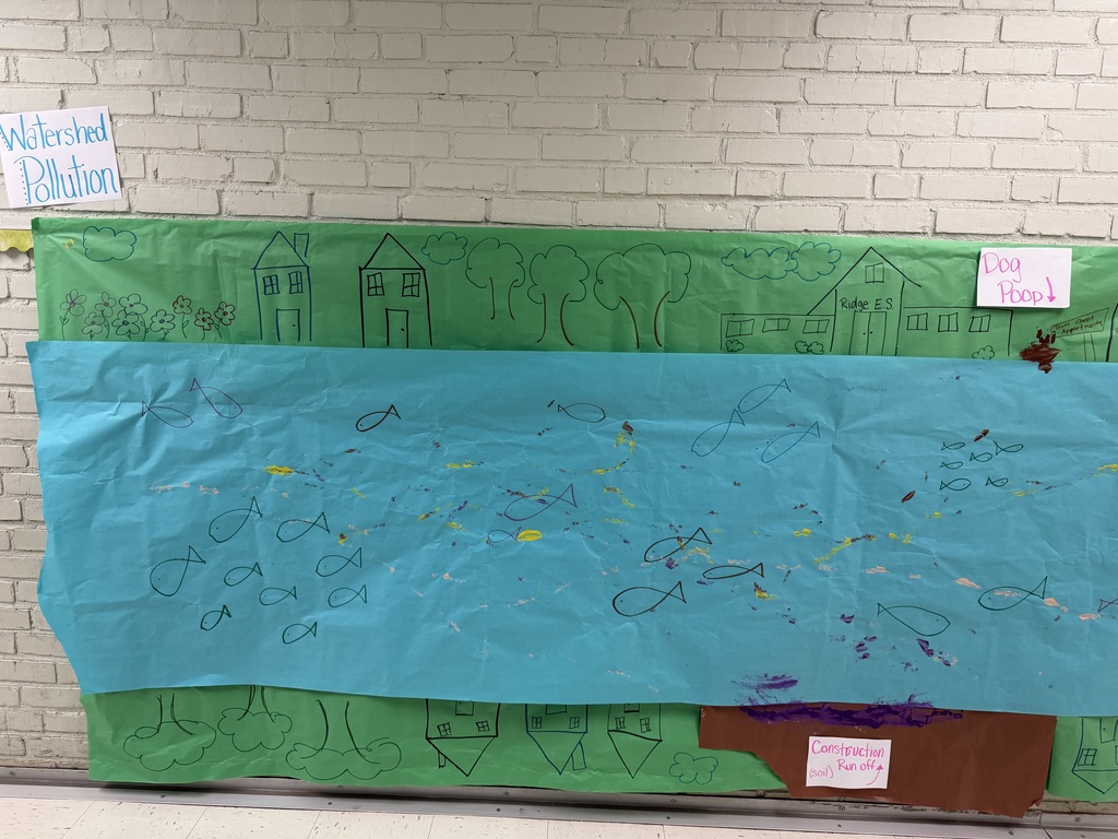 4th grade science 