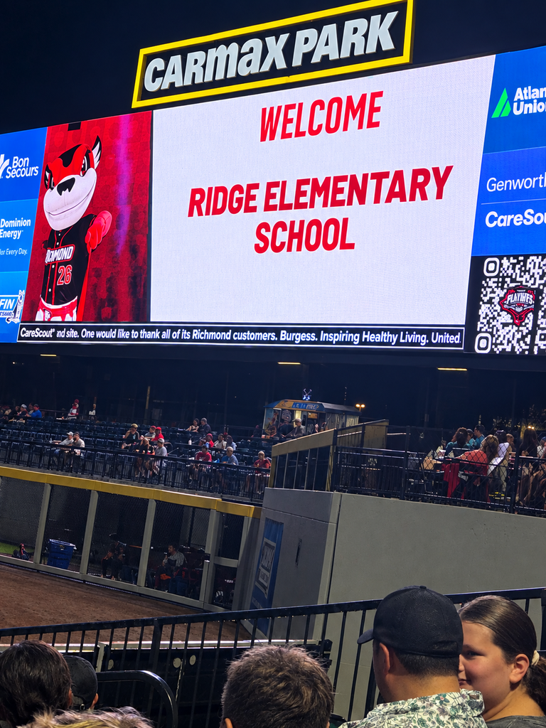 Squirrels game 