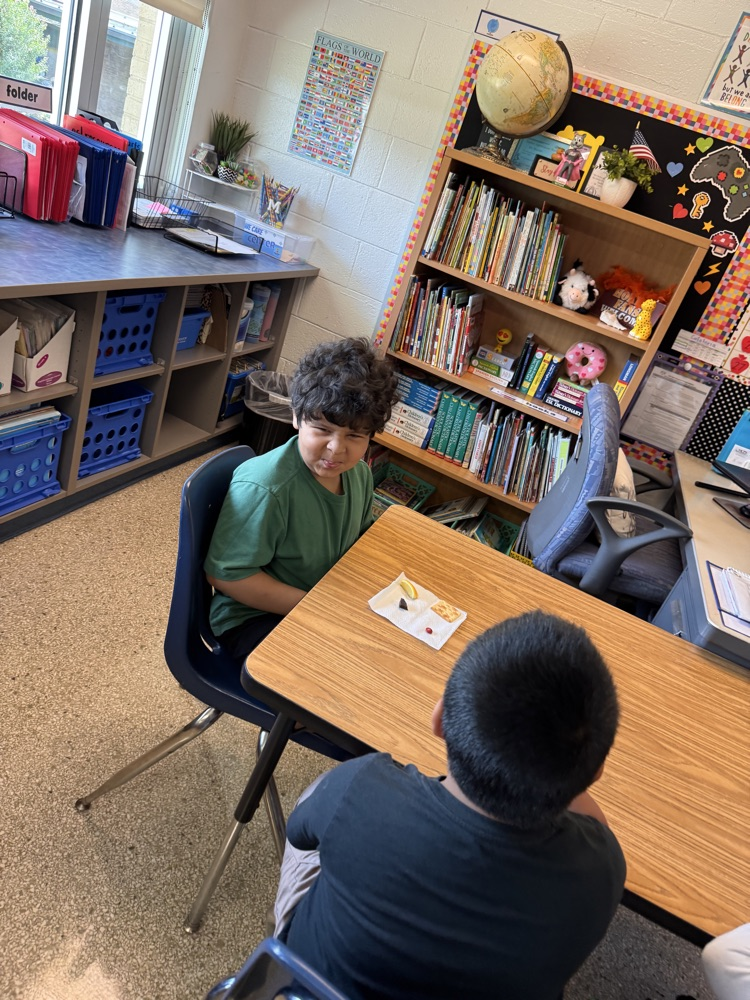 kindergarten taste testing