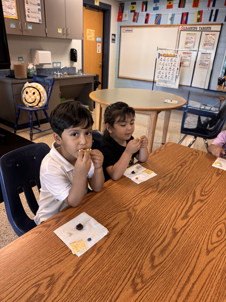 kindergarten taste testing