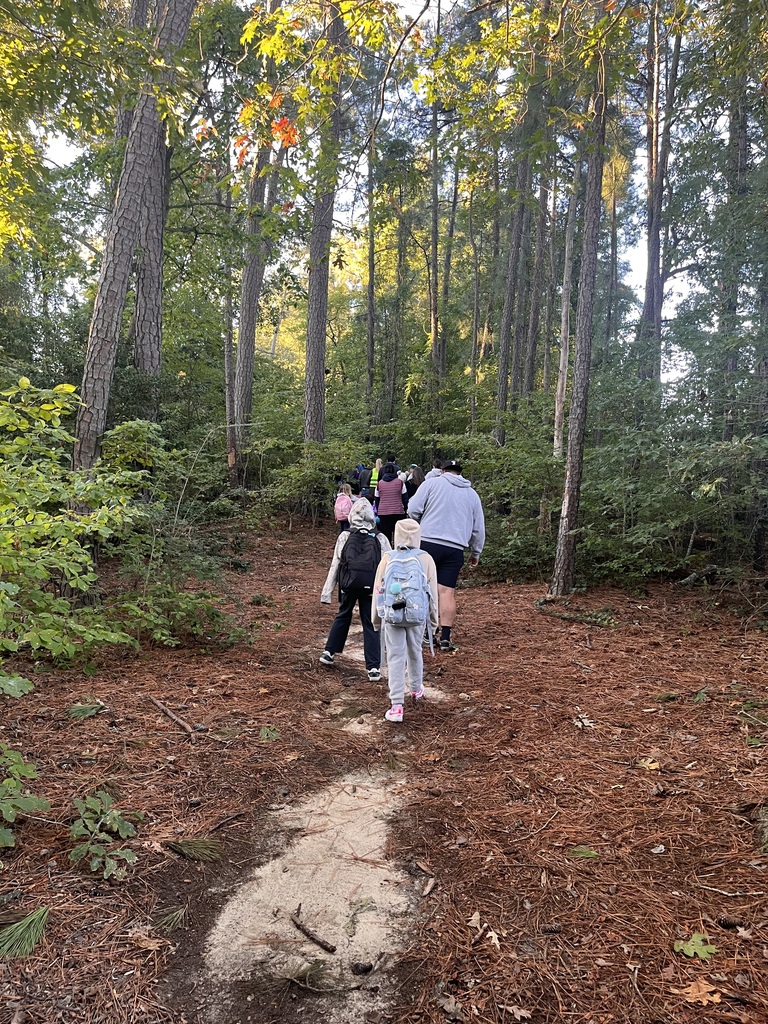 Walk to school