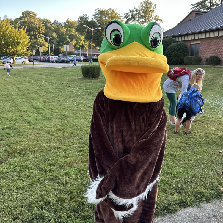 picture of a person in a mallard costume