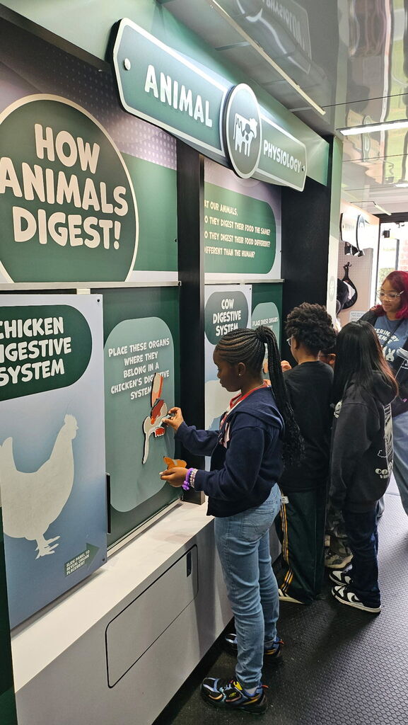 A group of students stand in front of a science exhibit on animal digestion.