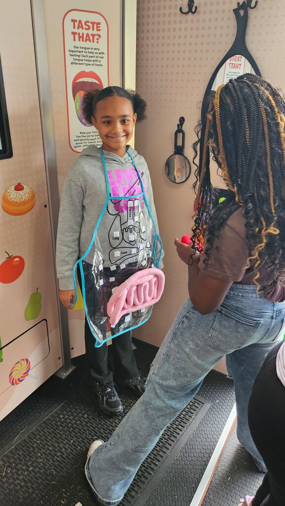 One student stands with an apron on while another student attached organs to the apron mimicking the organs in the human body.