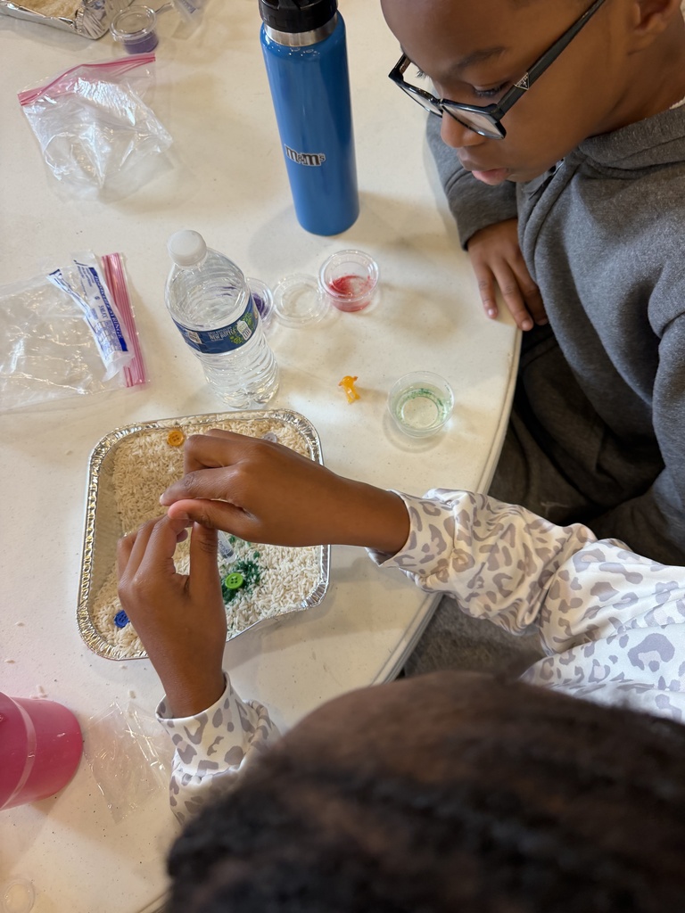 Students explore watersheds using rice and colored dyes while sitting at a table.