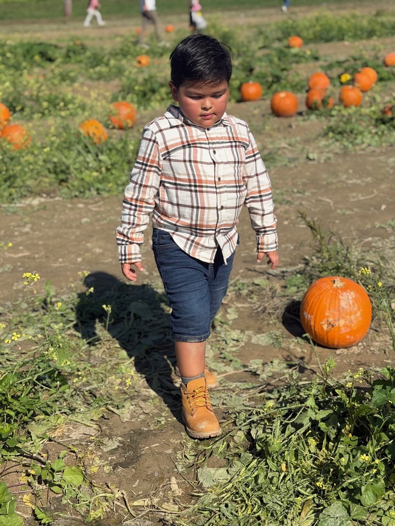 Pumpkin patch