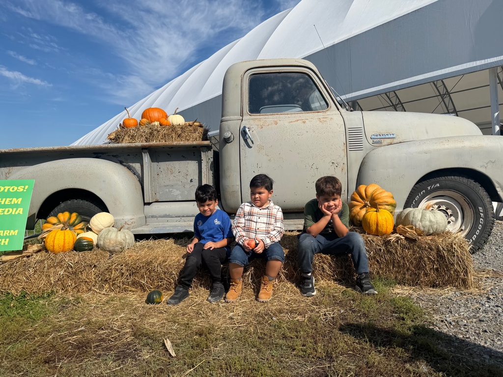 Pumpkin patch