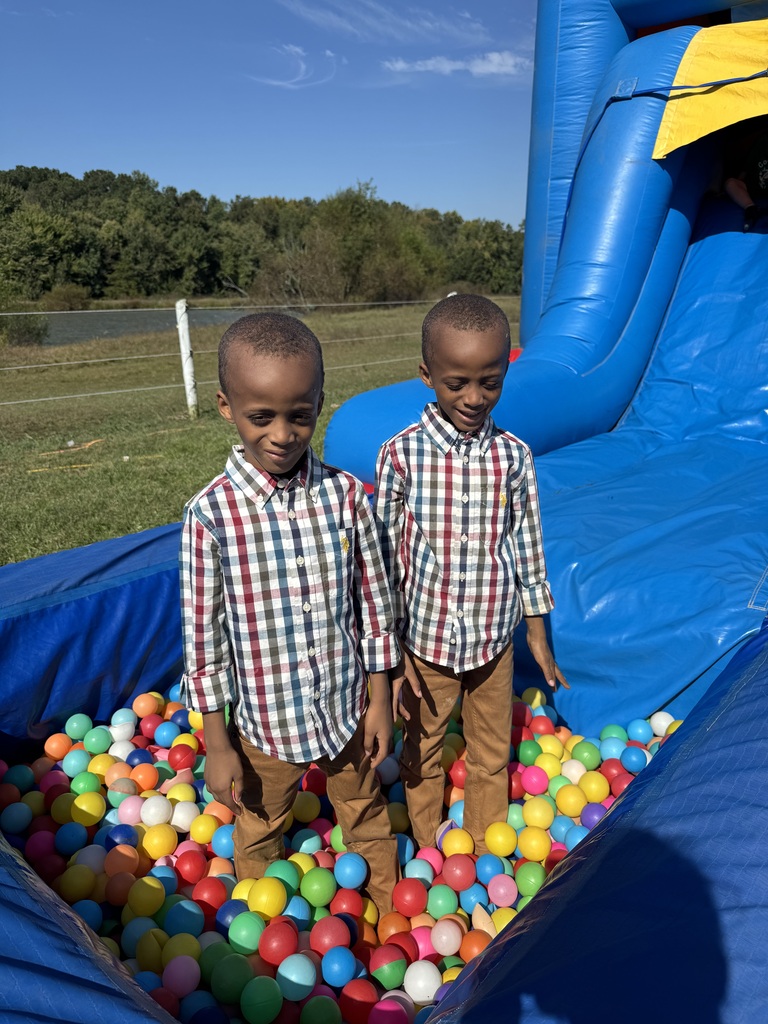 Pumpkin patch